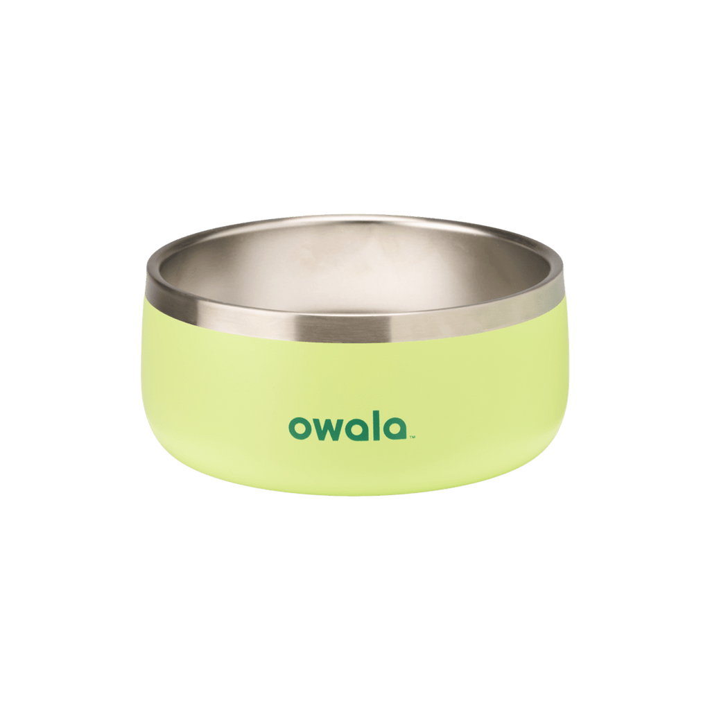 Green insulated stainless steel pet bowl with Owala logo, modern pet feeding dish