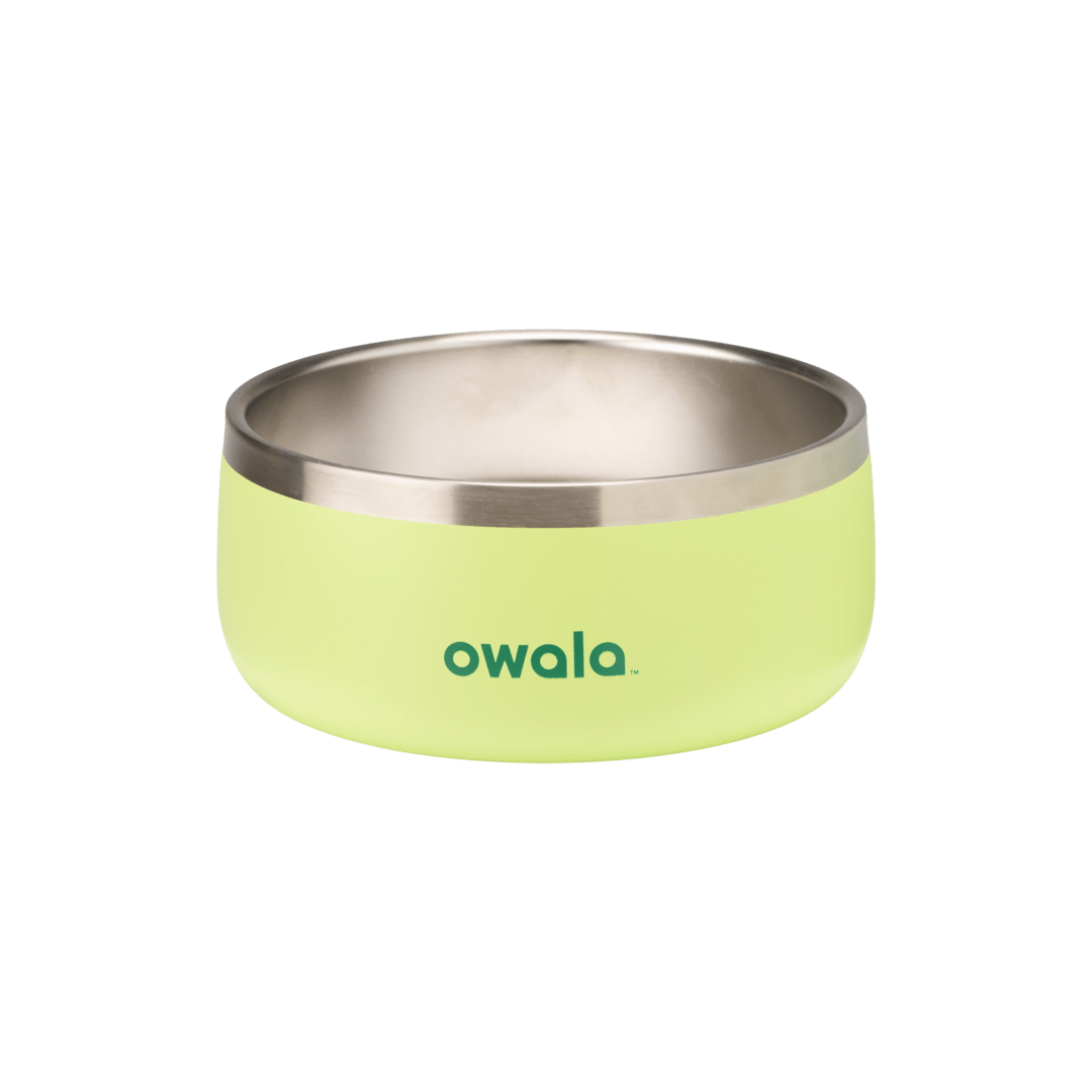 Green insulated stainless steel pet bowl with Owala logo, modern pet feeding dish