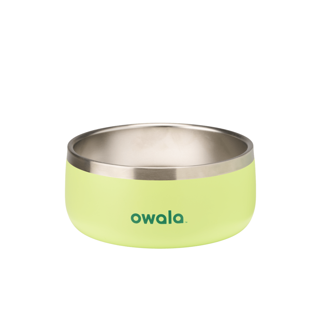 Green Owla stainless steel pet bowl with smooth round design