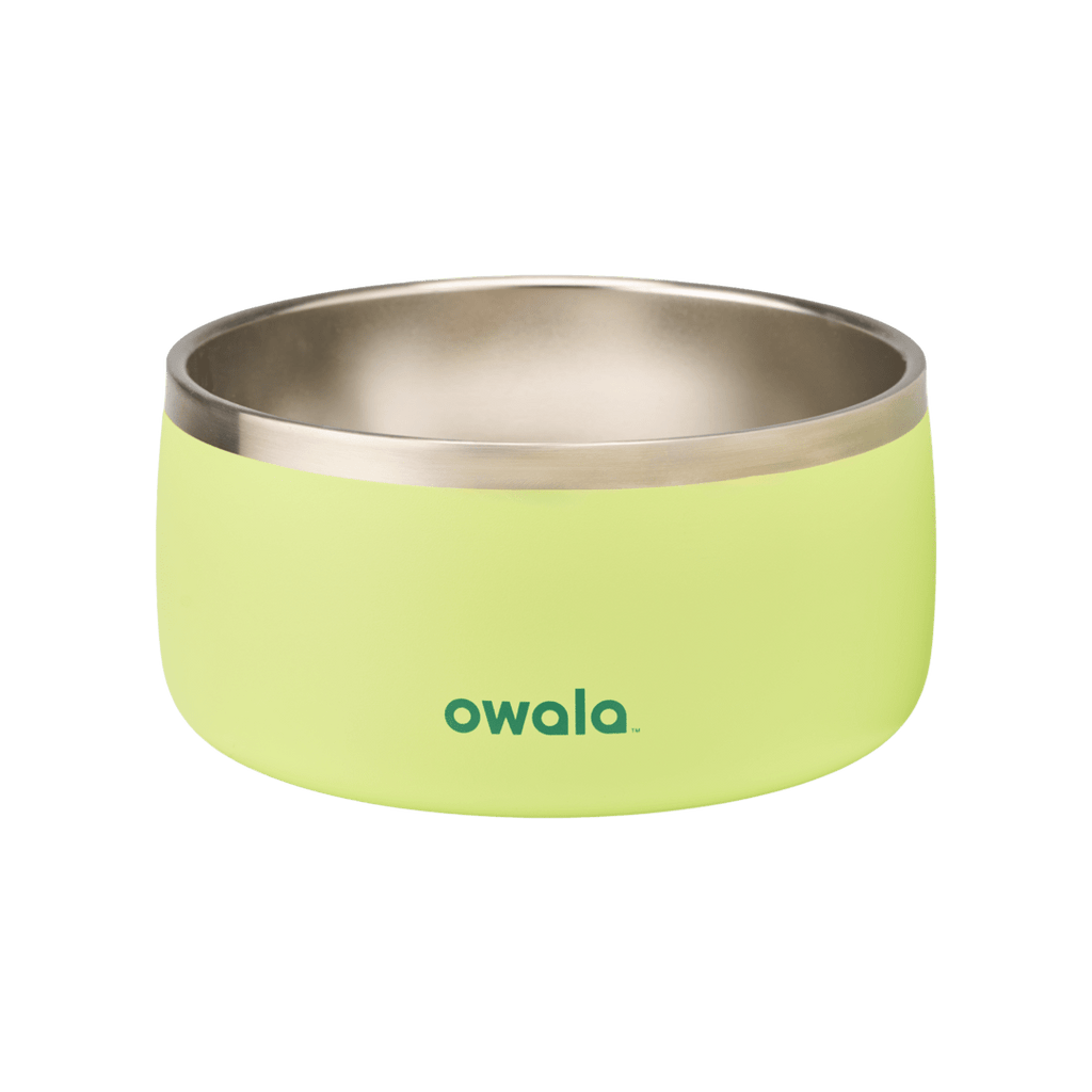 Owala green stainless steel pet bowl with non-slip base for feeding pets