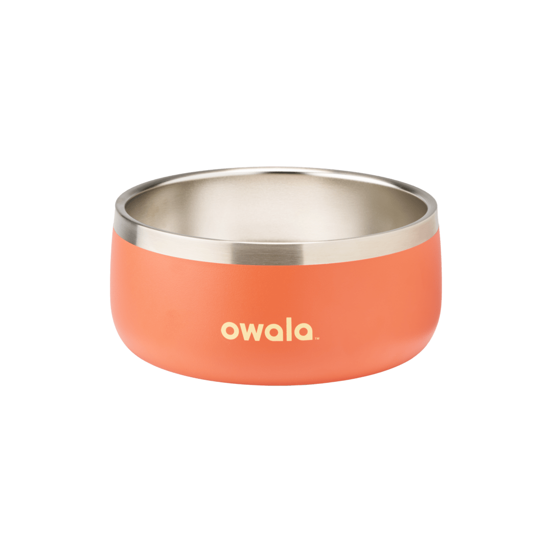 Orange stainless steel pet bowl with Owala logo, non-slip base, durable dog and cat feeding dish