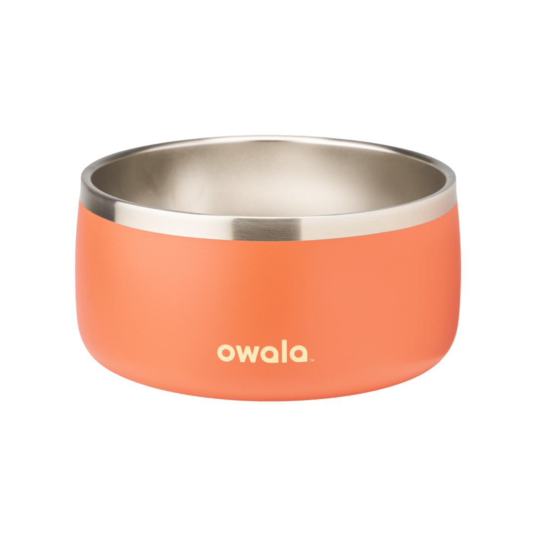 Orange Owala stainless steel pet bowl with insulated exterior