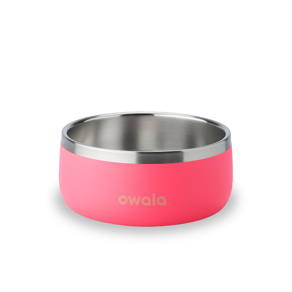 Owala pink stainless steel insulated bowl with rounded base and silver rim