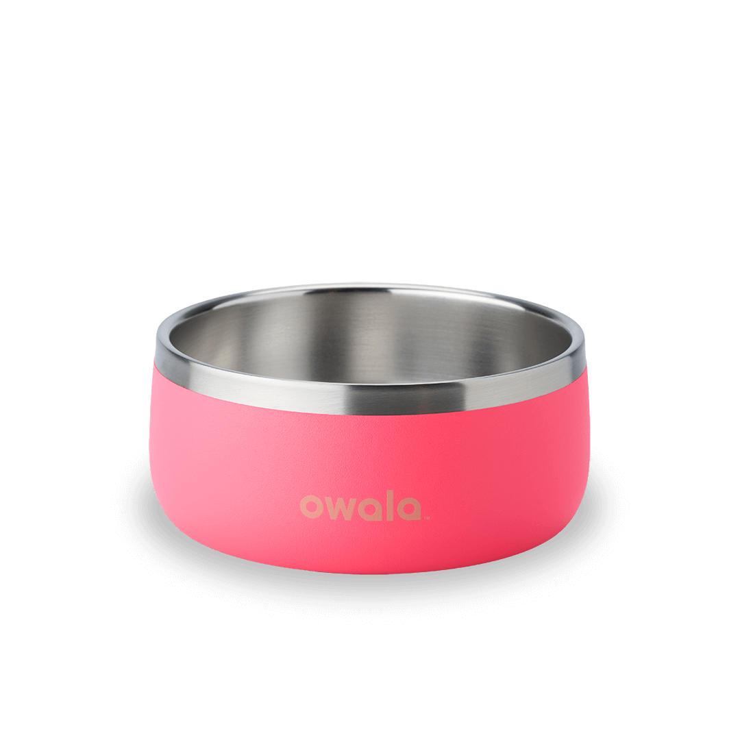 Owala pink stainless steel insulated bowl with rounded base and silver rim