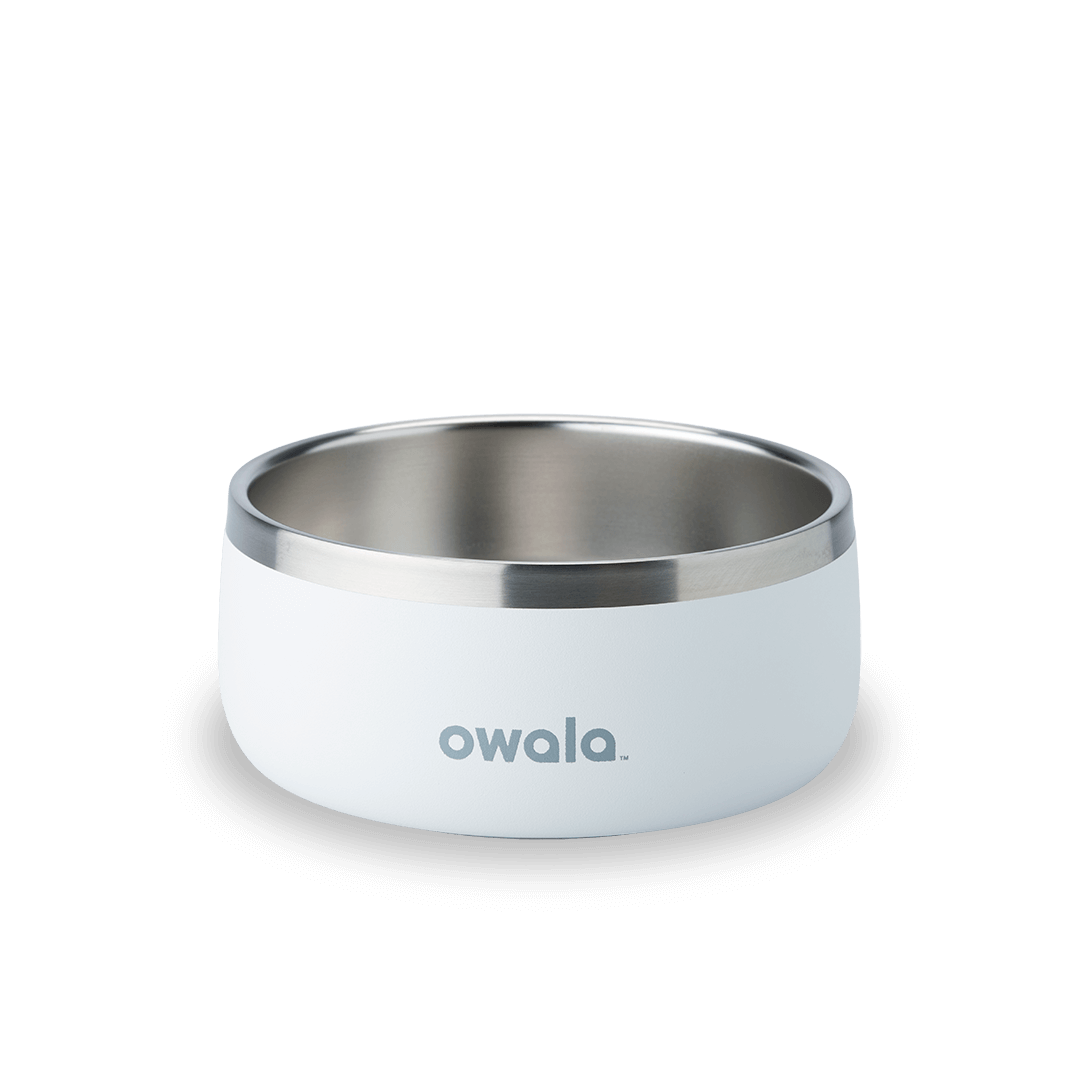 Owala stainless steel pet bowl in white with non-slip base and silver rim