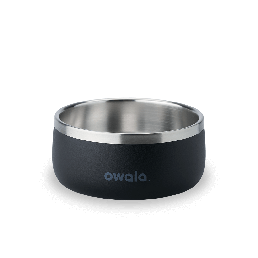 Owala 24oz stainless steel bowl with very dark matte finish and polished rim