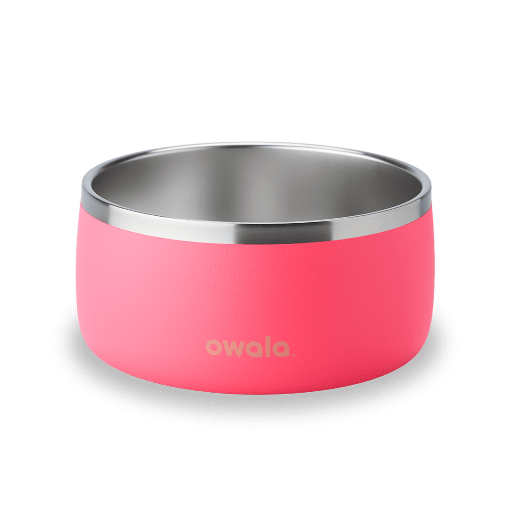 Owala 48oz insulated stainless steel food container in bright flamingo pink
