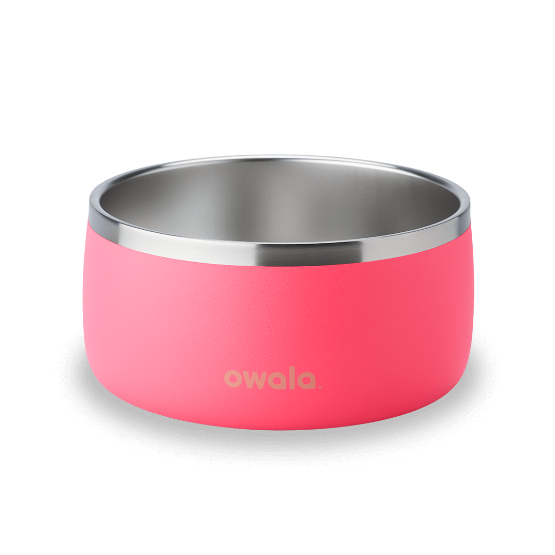 Owala 48oz insulated stainless steel food container in bright flamingo pink